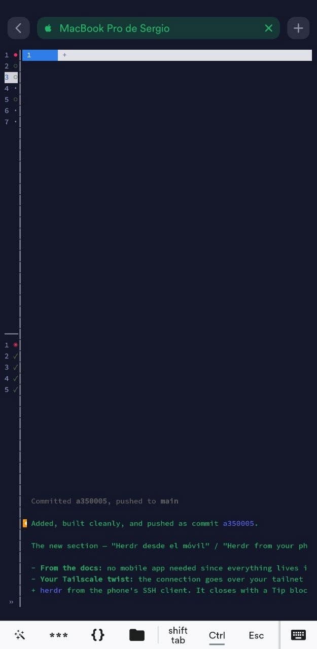 Sesión de Herdr abierta desde el iPhone por SSH, con la interfaz adaptada a la pantalla estrecha